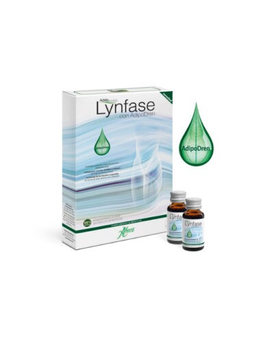 Lynfase concentrado fluido monodosis 12 frascos