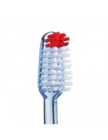 Partes de un cepillo dental y por qué son importantes - VITIS